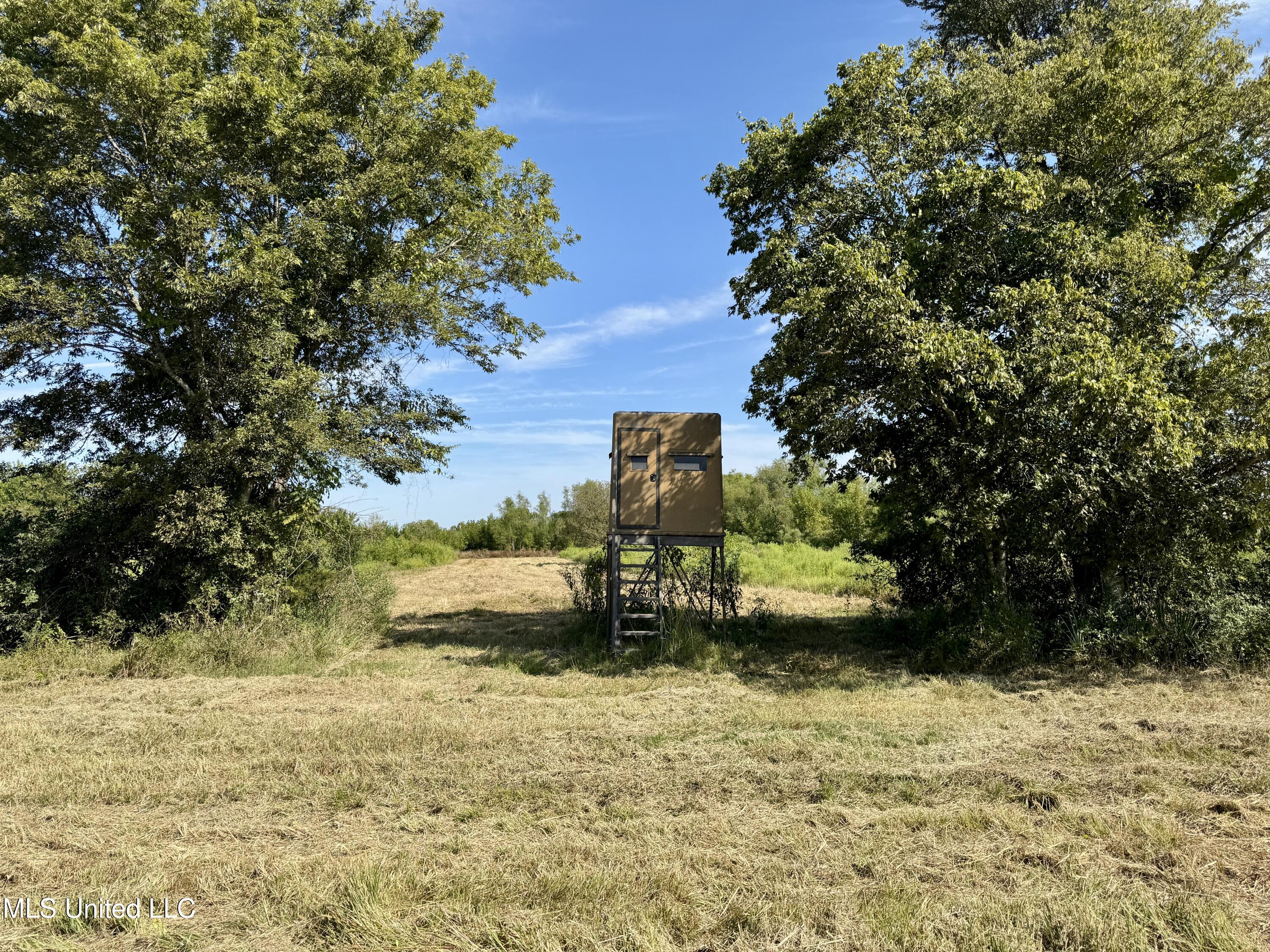 32 Highway 32 Charleston, MS 38921 - Photo 4 of 36 IMG_4277
