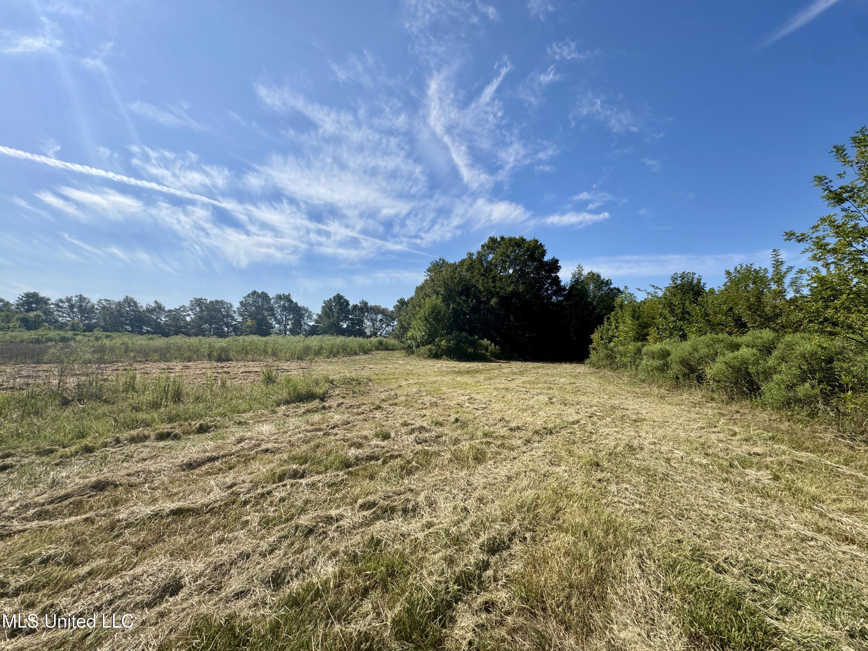 32 Highway 32 Charleston, MS 38921 - Photo 5 of 36 IMG_4278