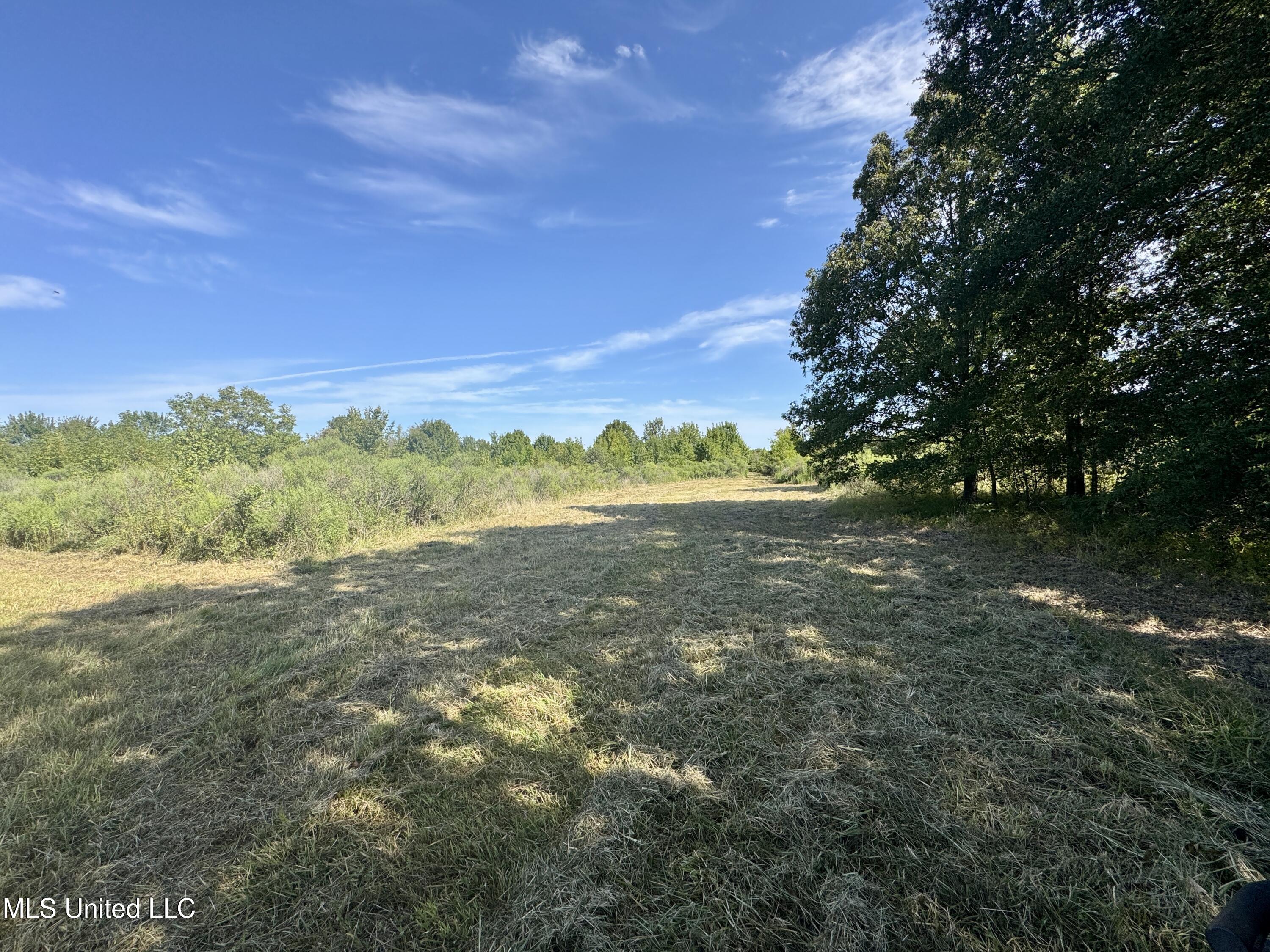 32 Highway 32 Charleston, MS 38921 - Photo 6 of 36 IMG_4279