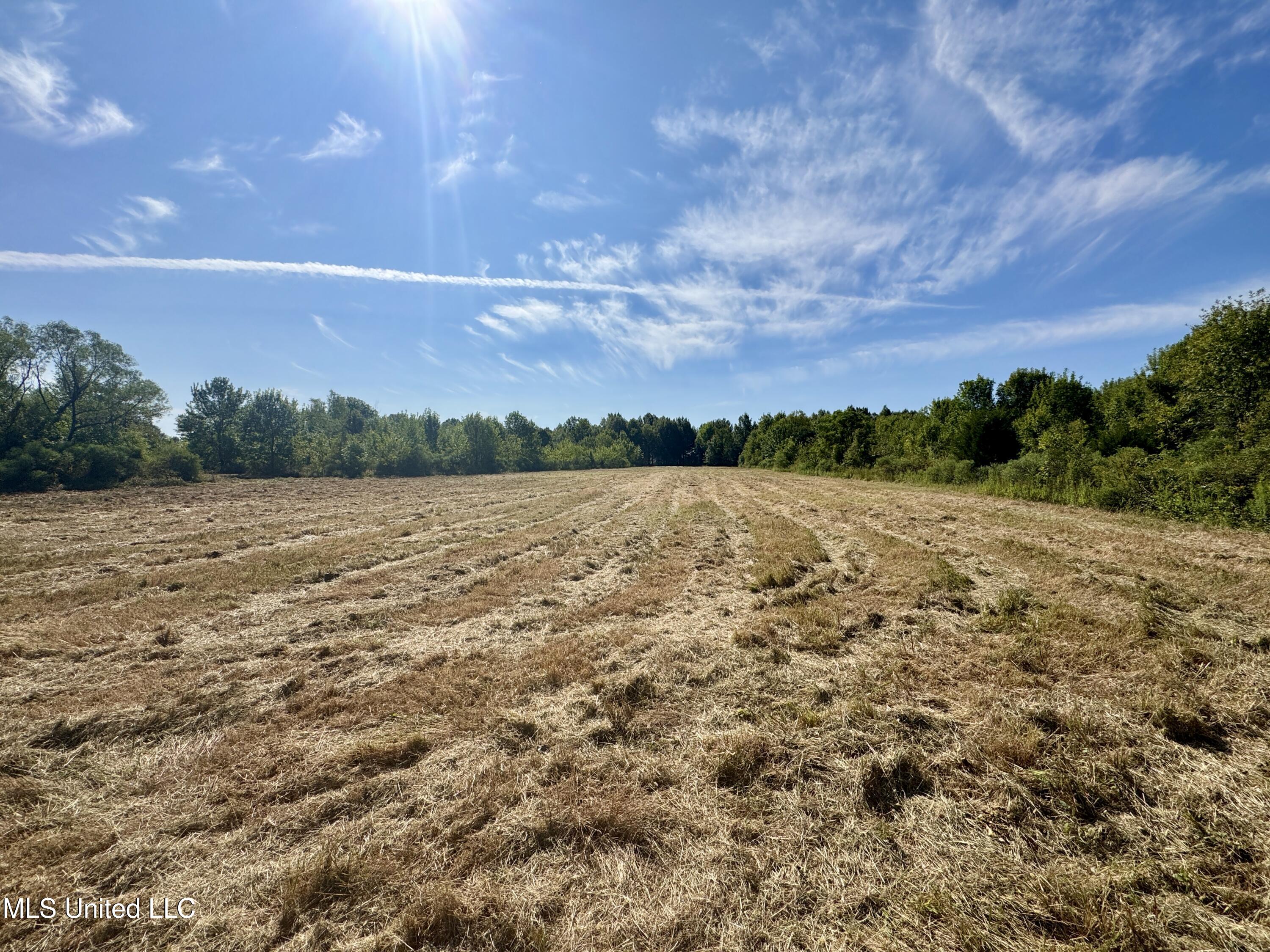 32 Highway 32 Charleston, MS 38921 - Photo 7 of 36 IMG_4280