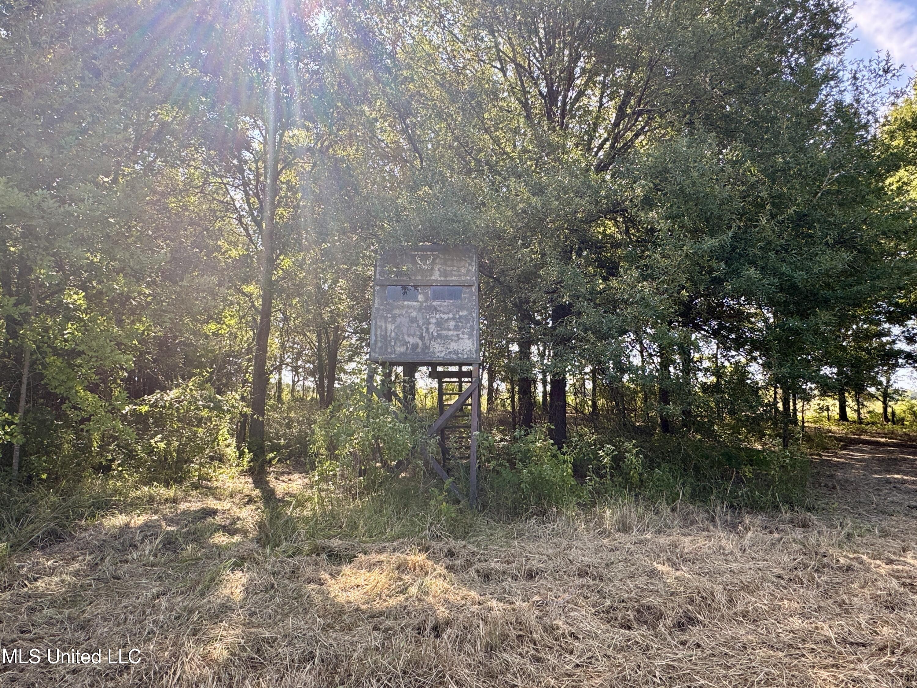 32 Highway 32 Charleston, MS 38921 - Photo 8 of 36 IMG_4281