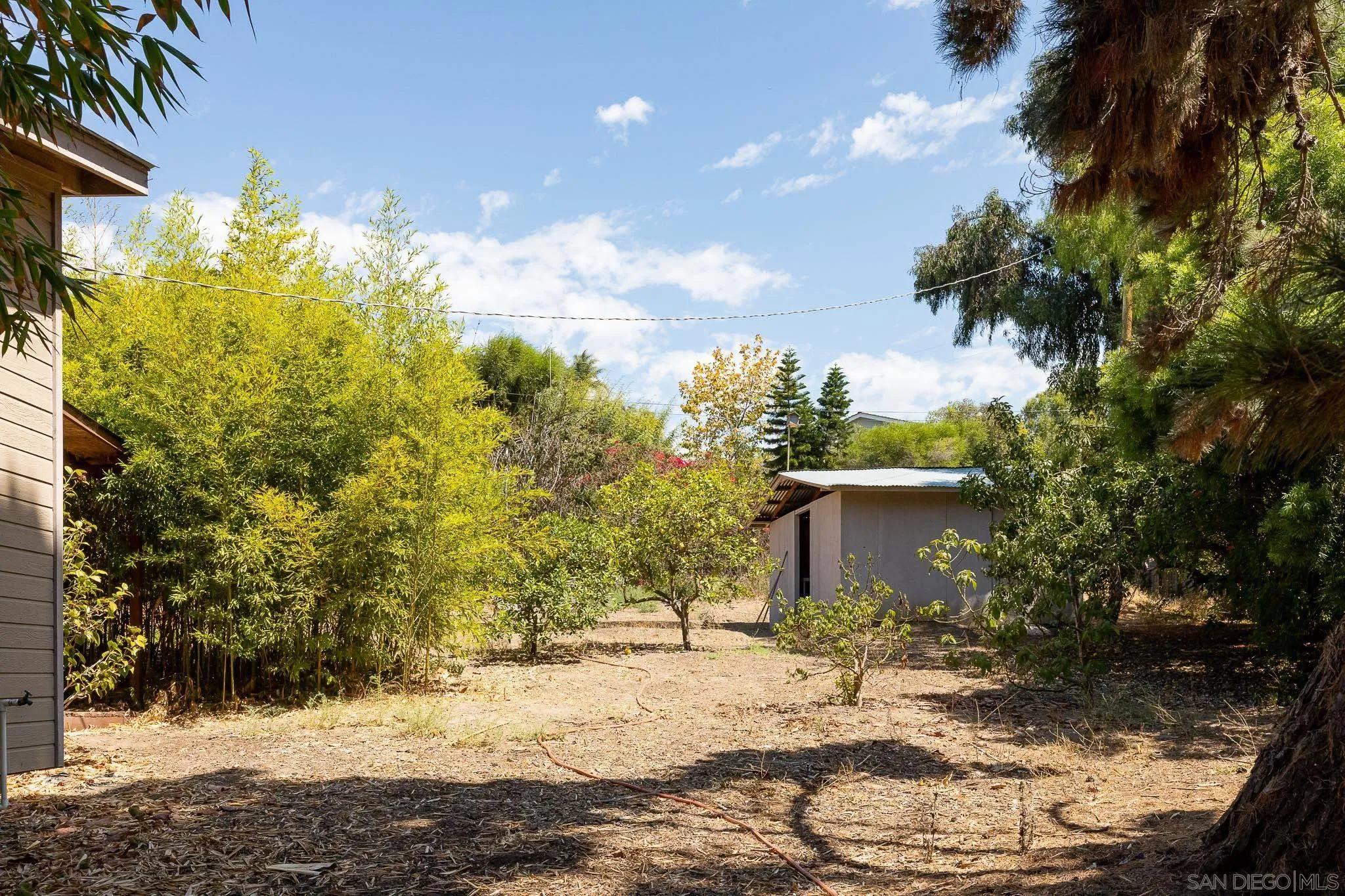 4880 Sun Valley Road Del Mar, CA 92014 - Photo 21 of 23 a view of a yard with plants and trees