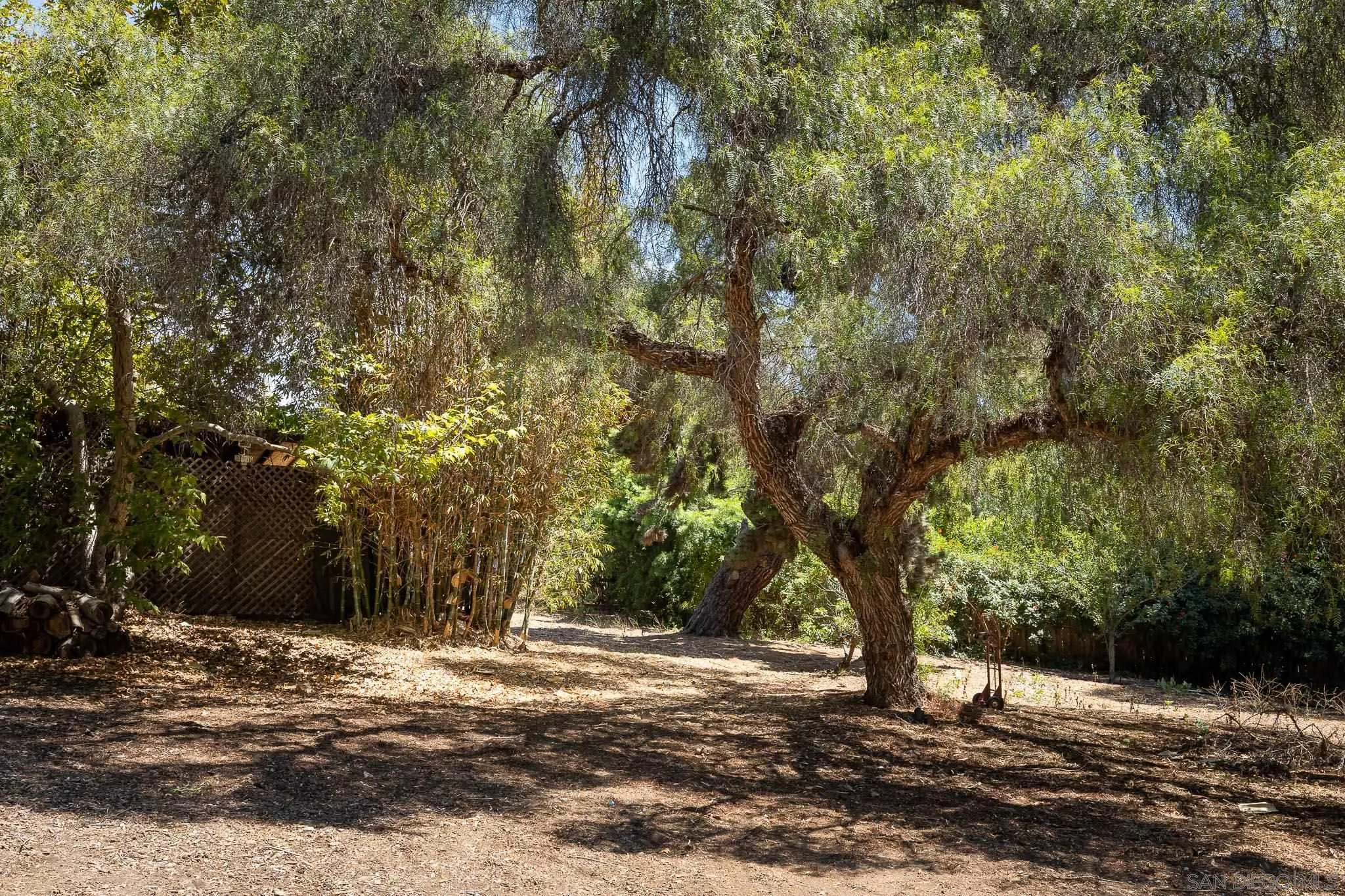 4880 Sun Valley Road Del Mar, CA 92014 - Photo 8 of 23 a view of a yard with plants and trees