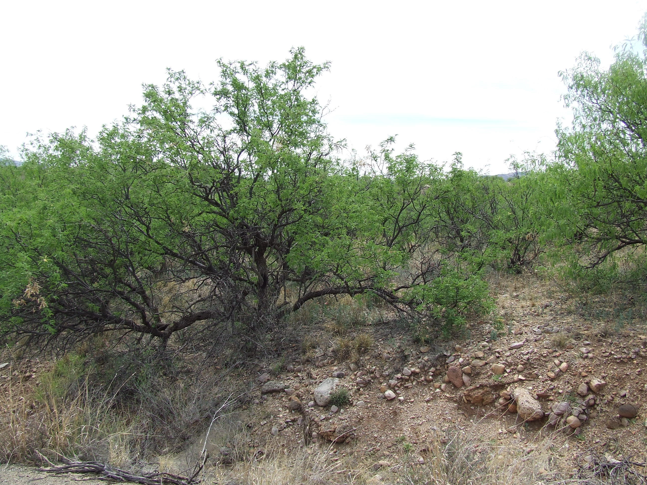 1230 Via Palestra Rio Rico, AZ 85648 - Photo 1 of 7