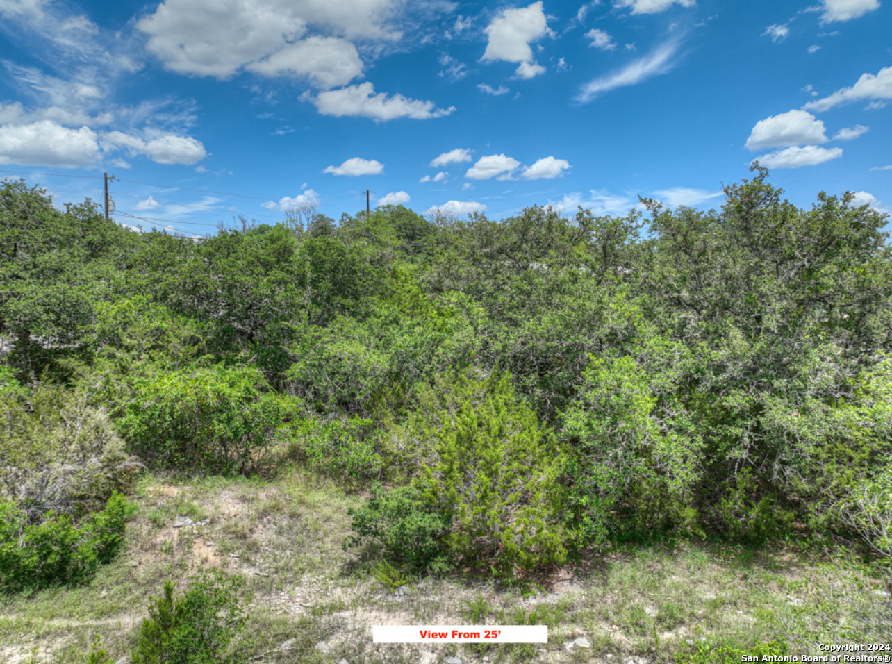 0 Cliff Drive Spring Branch, TX 78070 - Photo 14 of 22