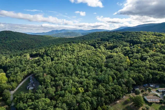 a view of a city with lush green forest