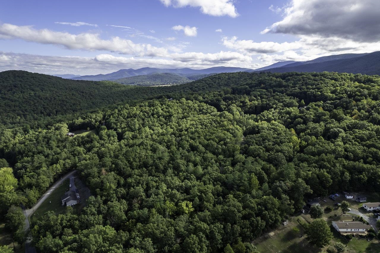 a view of a city with lush green forest