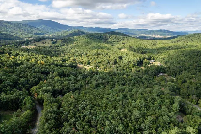 a view of a flower in front of the house