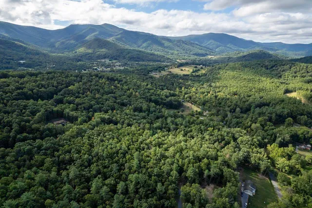 a view of a lush green hillside and houses