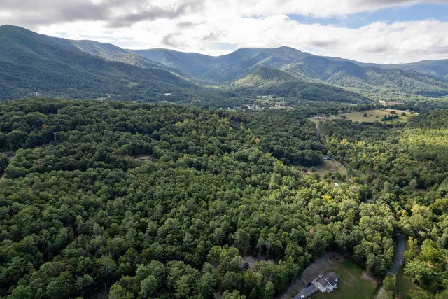 a view of a lush green hillside and houses