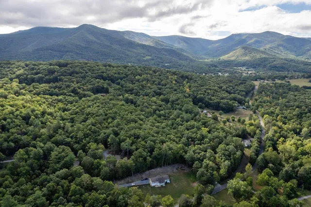 a view of a lot of trees and flowers