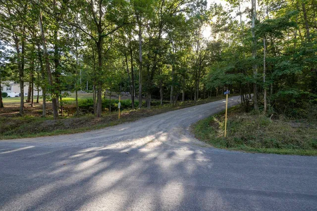 a view of a dirt road with trees in the background