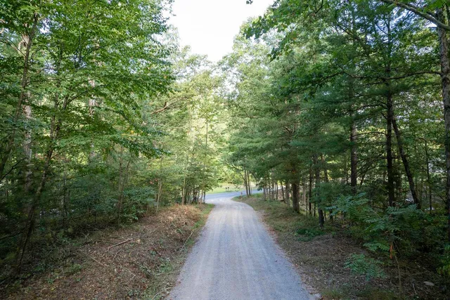 a view of a dirt road with trees in the background