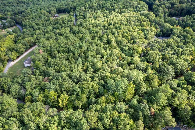 a view of a house with a lush green forest