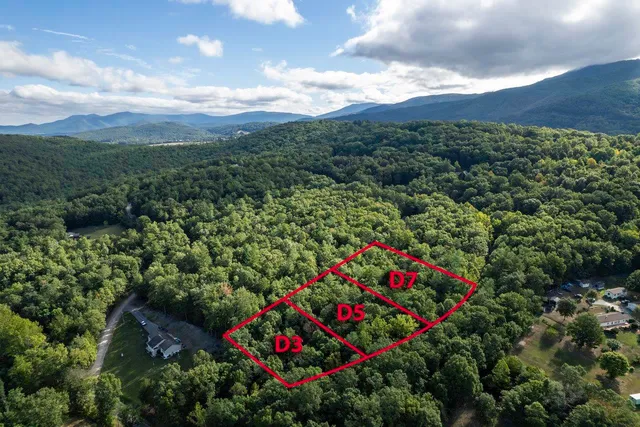 a view of a city with lush green forest