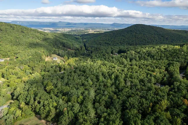 an aerial view of a residential houses with outdoor space and trees