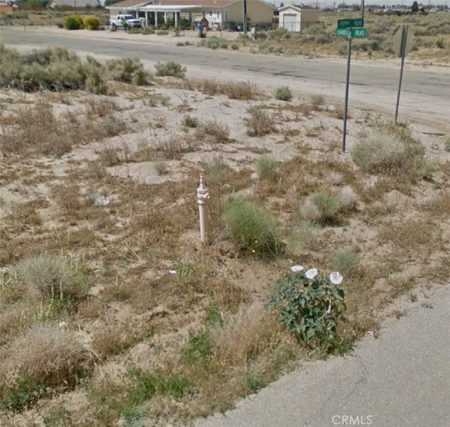 0 Poppy Boulevard Edwards, CA 93523 - Photo 2 of 4 a view of a dry yard with wooden fence