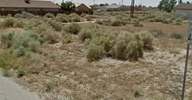 a view of a dry yard with trees