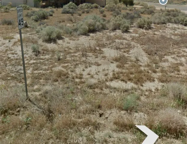 a view of a dry yard with wooden fence