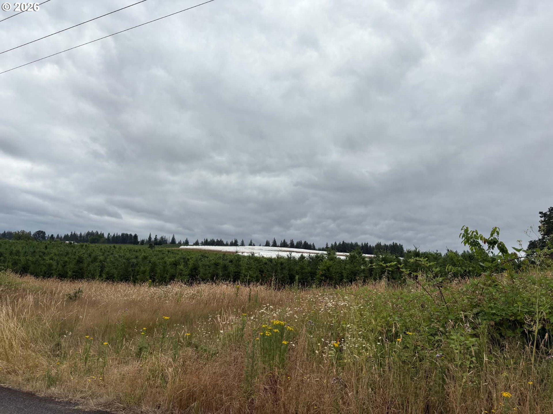 12716 South Dart Road Molalla, OR 97038 - Photo 4 of 9 Gallery Image 4
