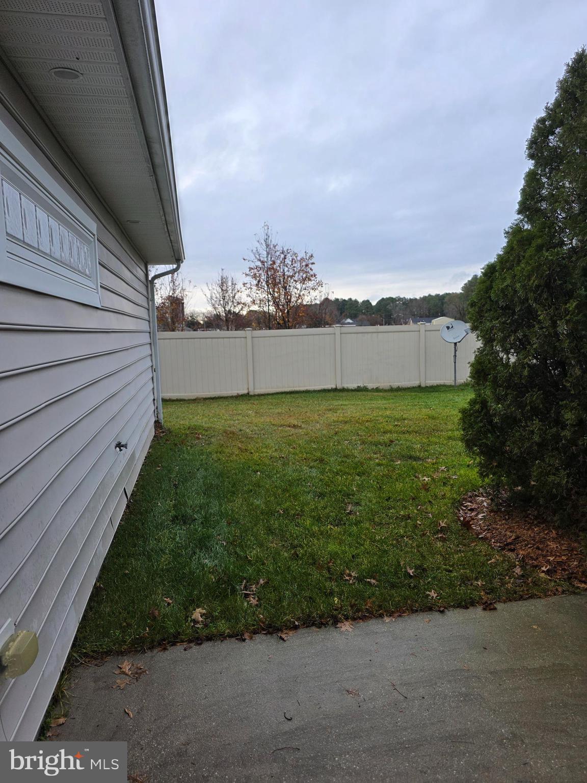 15 Bayberry Street Georgetown, DE 19947 - Photo 14 of 15 a view of a backyard