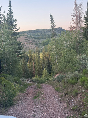 1663 Lancer Lane Evanston, UT 82930 - Photo 72 of 101 Gravel road surrounded by mature evergreen and deciduous trees, with a distant treeline and mountainous terrain