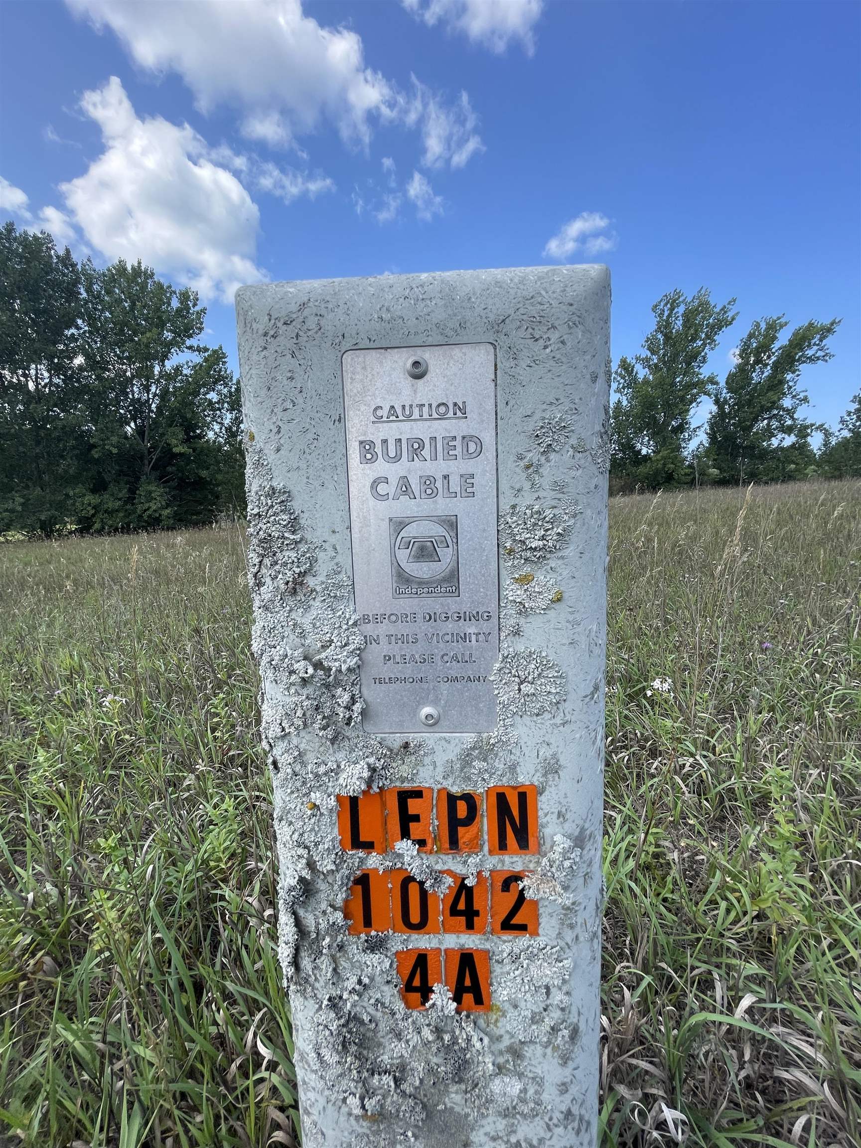 Lot 20 South Cedarview Cedar, MI 49621 - Photo 9 of 10 1915051-8.JPG