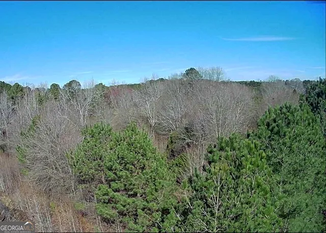 a view of a lush green outdoor space with a lake view