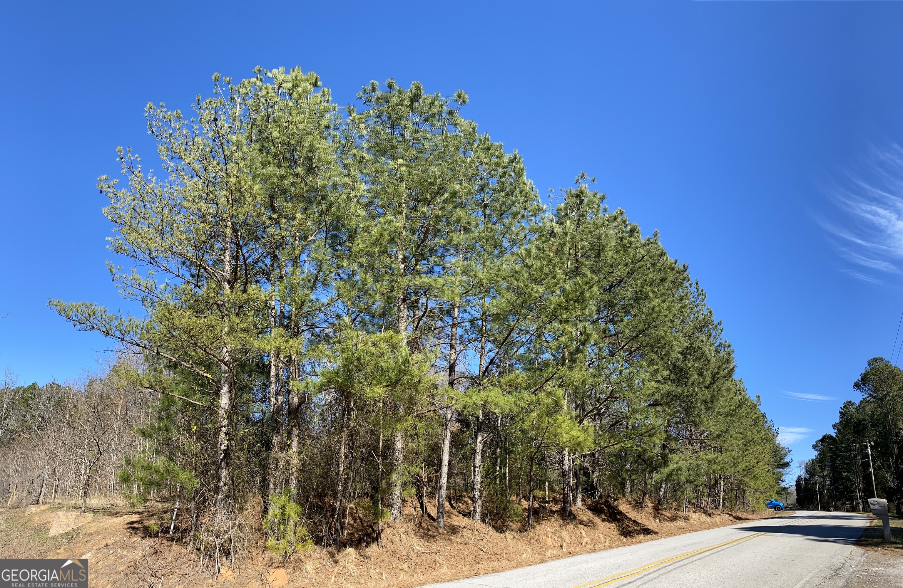 0 East Mays Stockbridge, GA 30281 - Photo 3 of 7 a view of a yard with plants