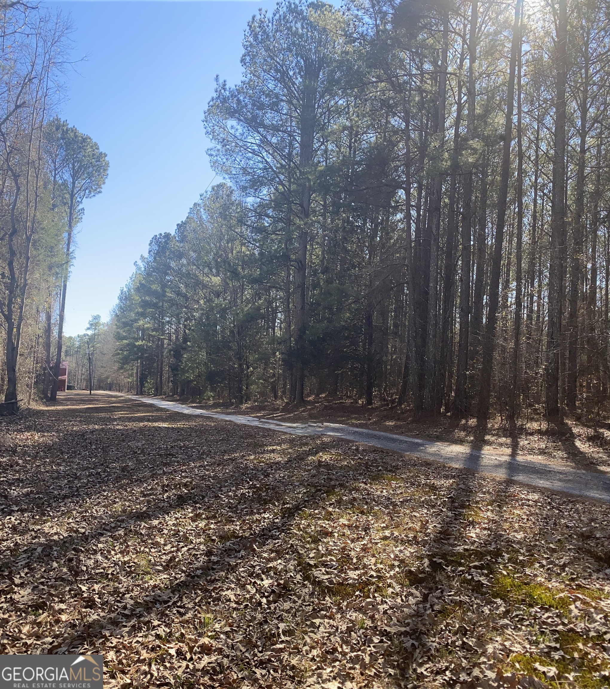 0 East Mays Stockbridge, GA 30281 - Photo 4 of 7 a view of a yard with trees
