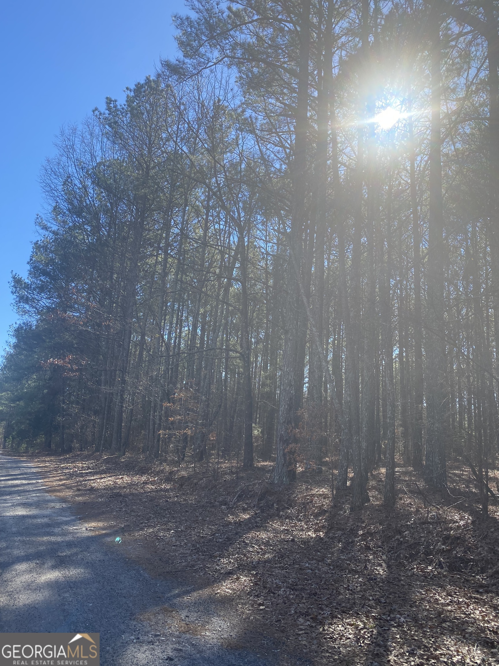 0 East Mays Stockbridge, GA 30281 - Photo 5 of 7 a view of a backyard of the house