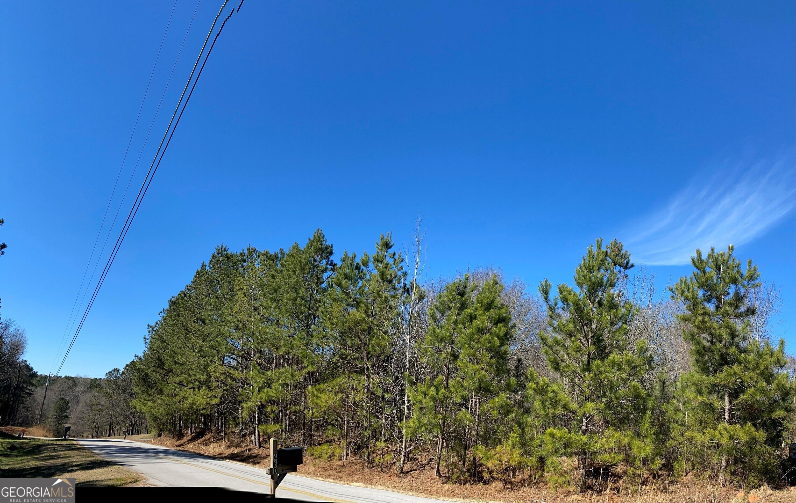 0 East Mays Stockbridge, GA 30281 - Photo 6 of 7 a view of a yard