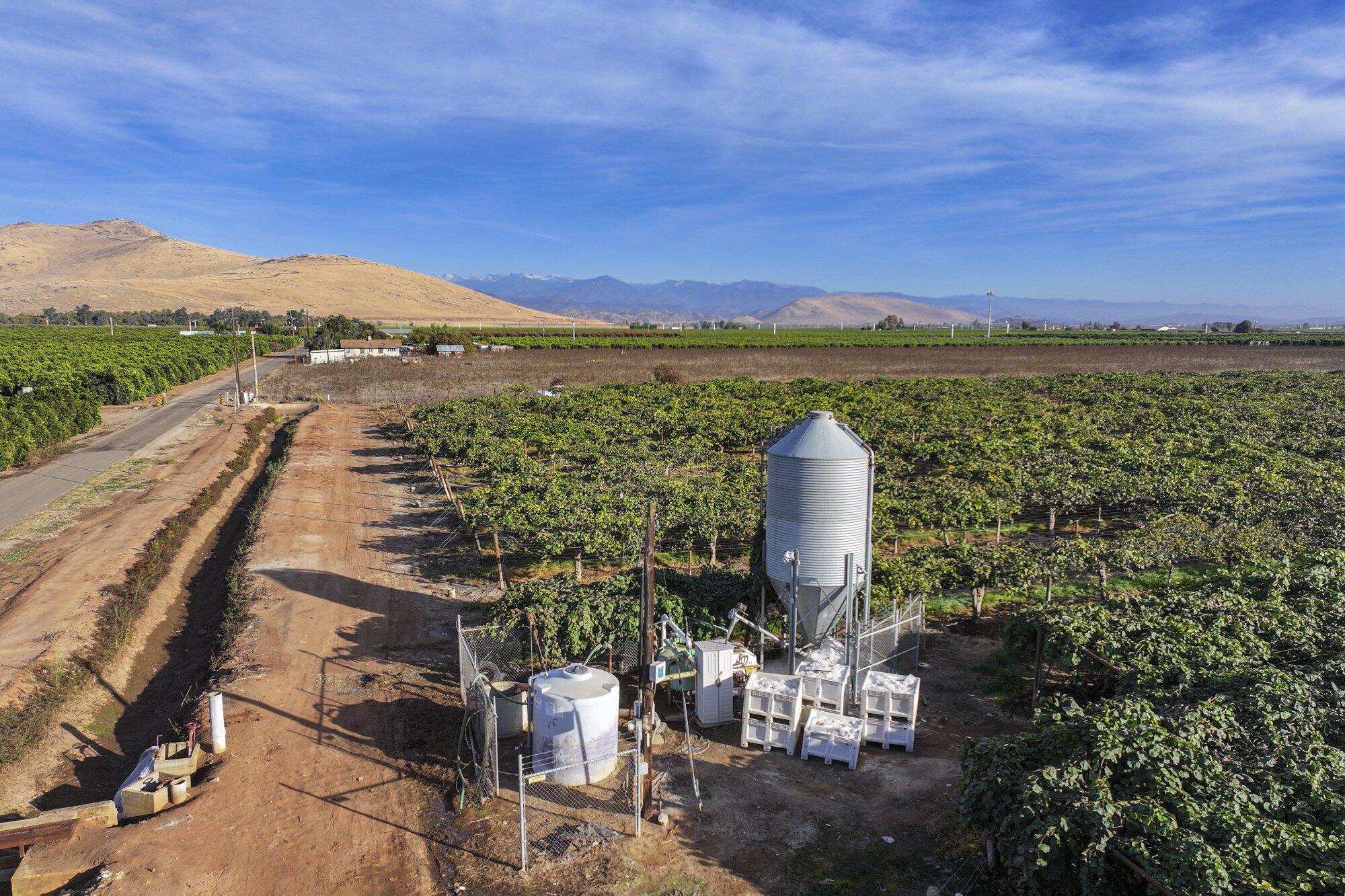 136 Rd Cutler Ca Cutler, CA 93615 - Photo 8 of 9 2023-11-21-Schuil-Farms-for-Sale-20-ac-K
