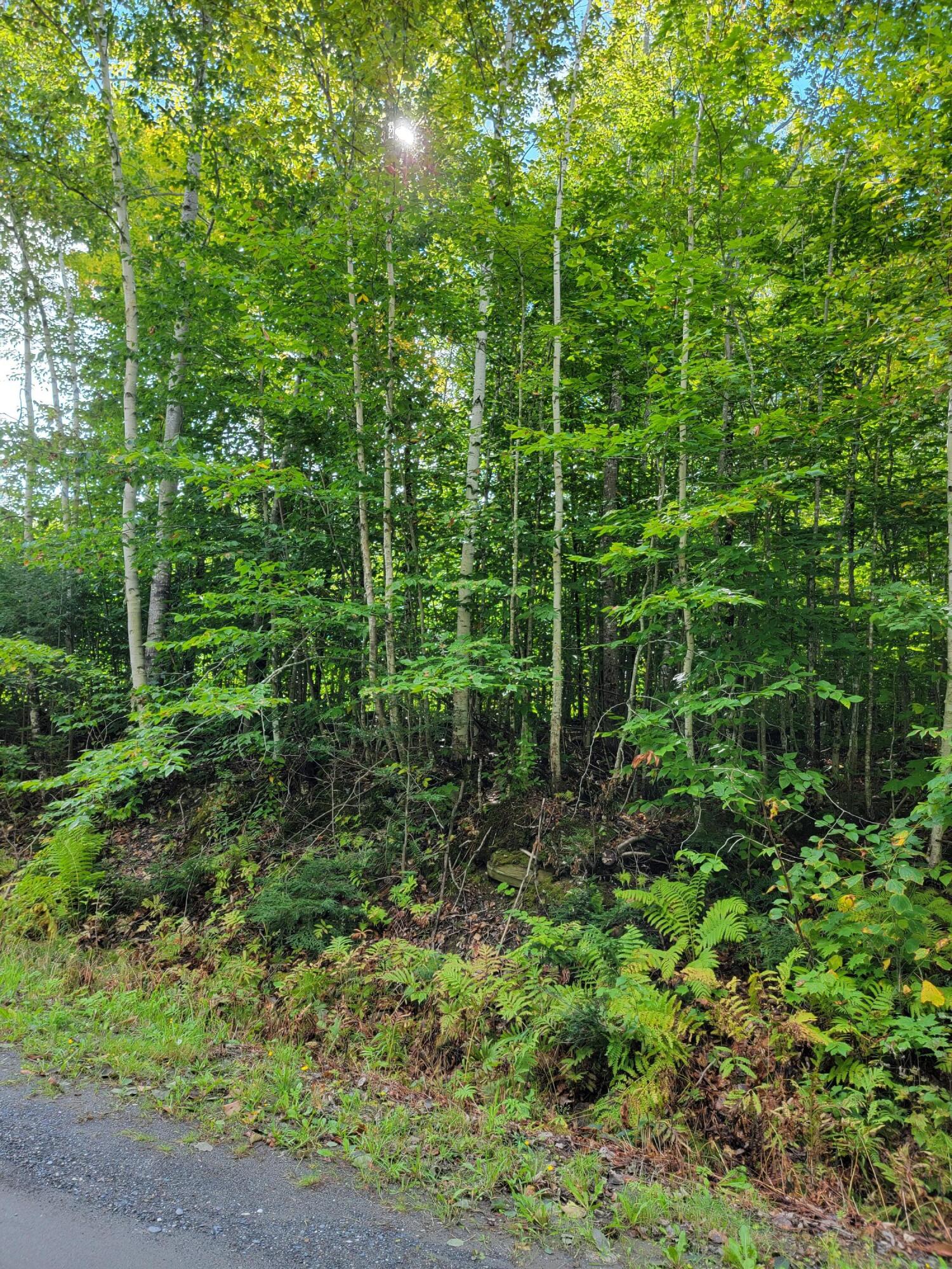 1 Map Drive Sebec, ME 04481 - Photo 6 of 25 20220921_105007
