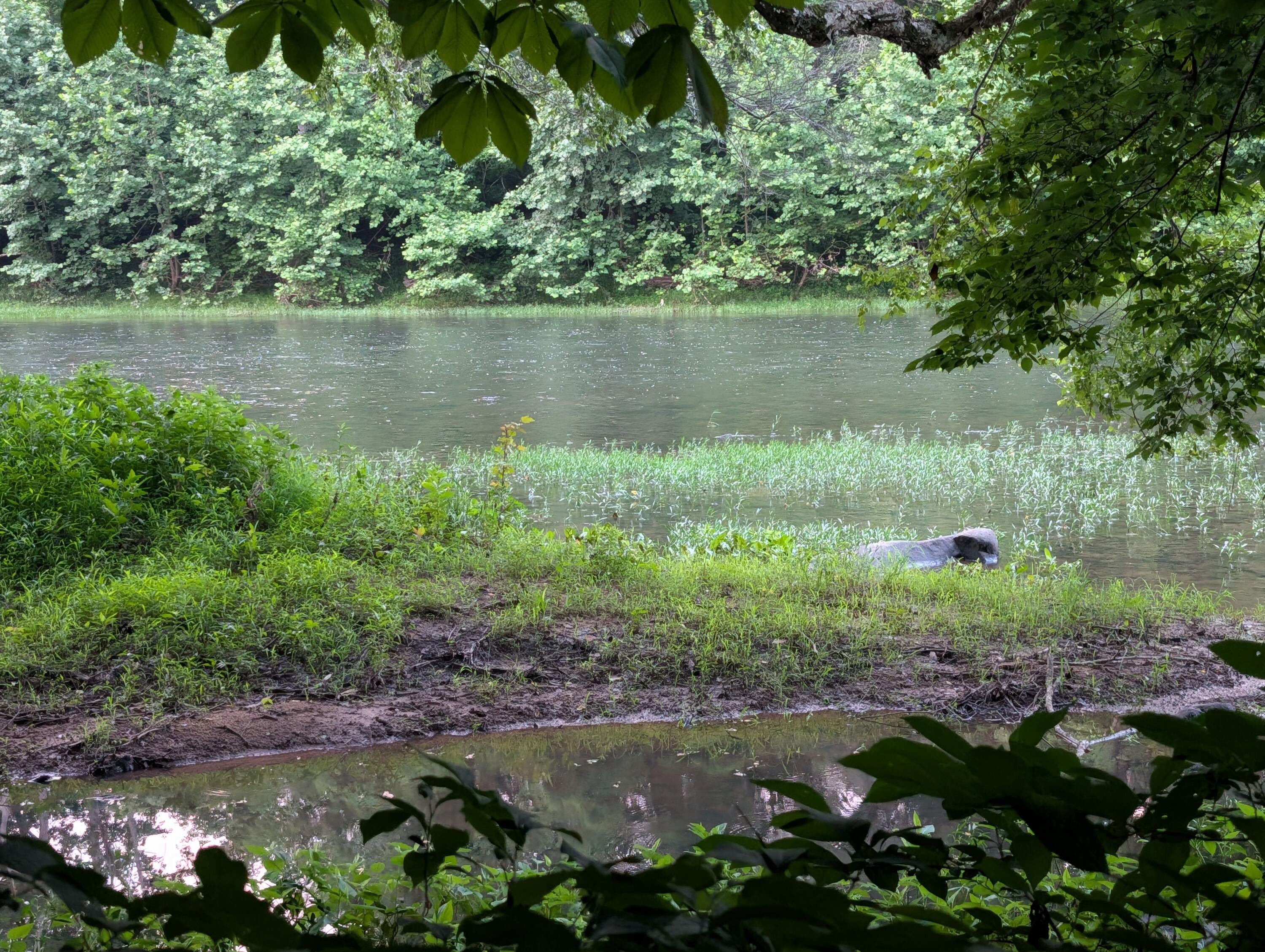 Tbd Keister Road Ronceverte, WV 24970 - Photo 14 of 14 Gallery Image 14