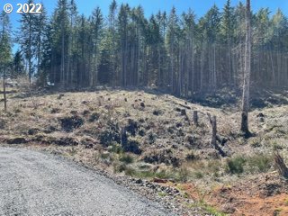 Halderman Road, Unit 3 Cottage Grove, OR 97424 - Photo 2 of 4 Gallery Image 2