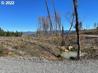 Halderman Road, Unit 3 Cottage Grove, OR 97424 - Photo 4 of 4 Gallery Image 4