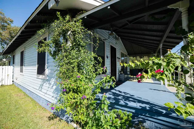 a view of a backyard with plants