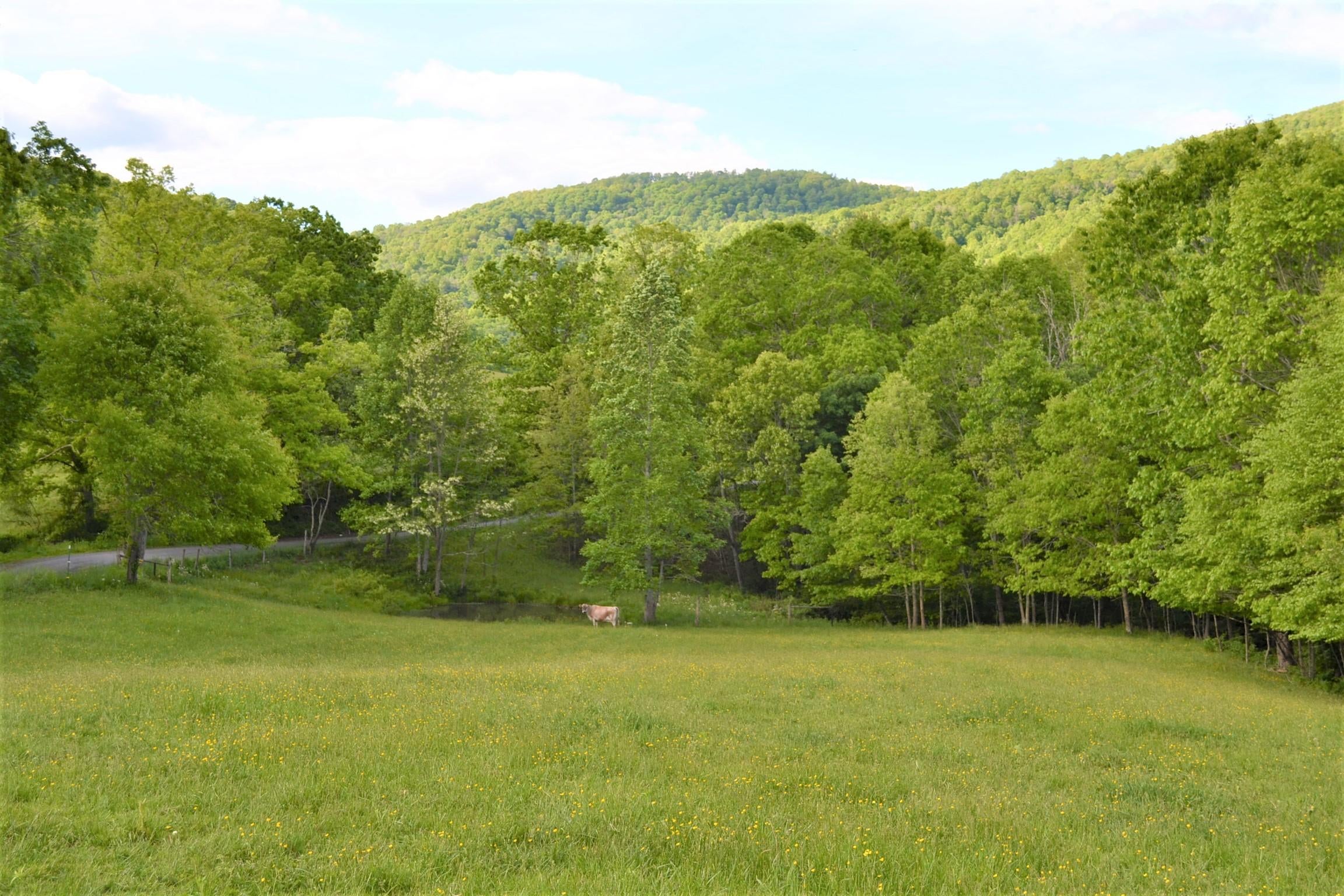 1640 Julia Road Renick, WV 24966 - Photo 21 of 77 Gallery Image 21