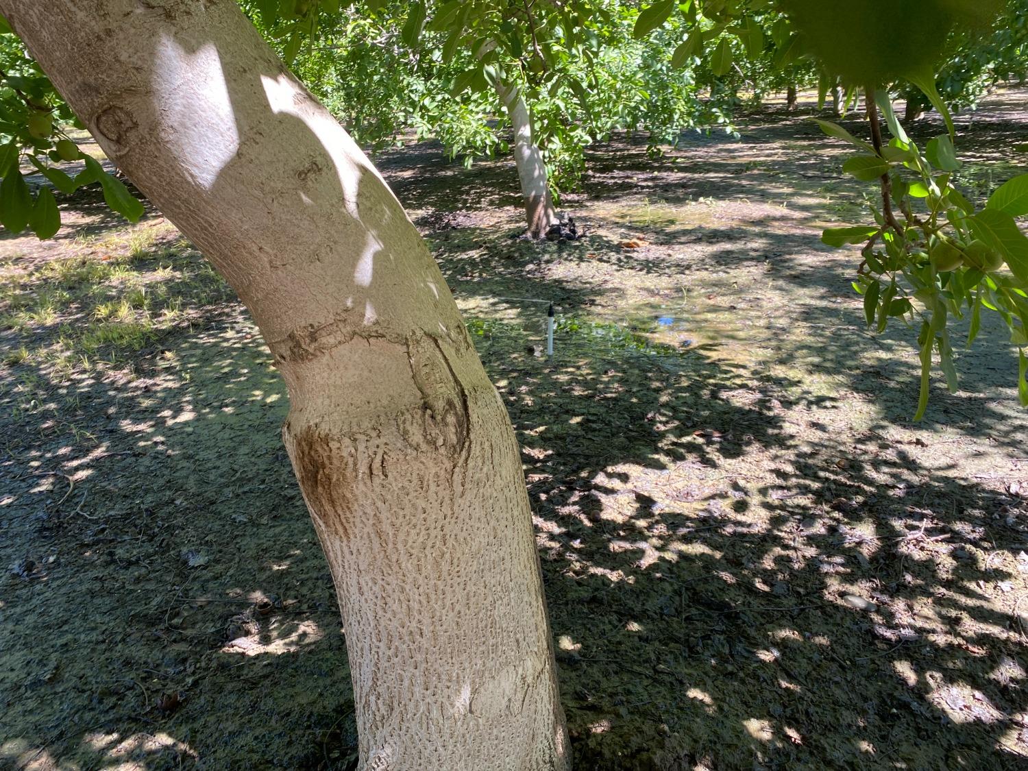 32200 South Koster Rd  