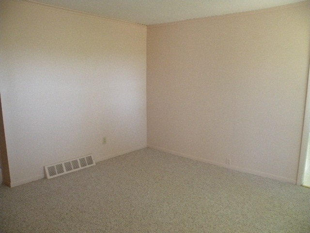 557 North Baldwin Road Owosso, MI 48867 - Photo 11 of 21 31353760-10.JPG