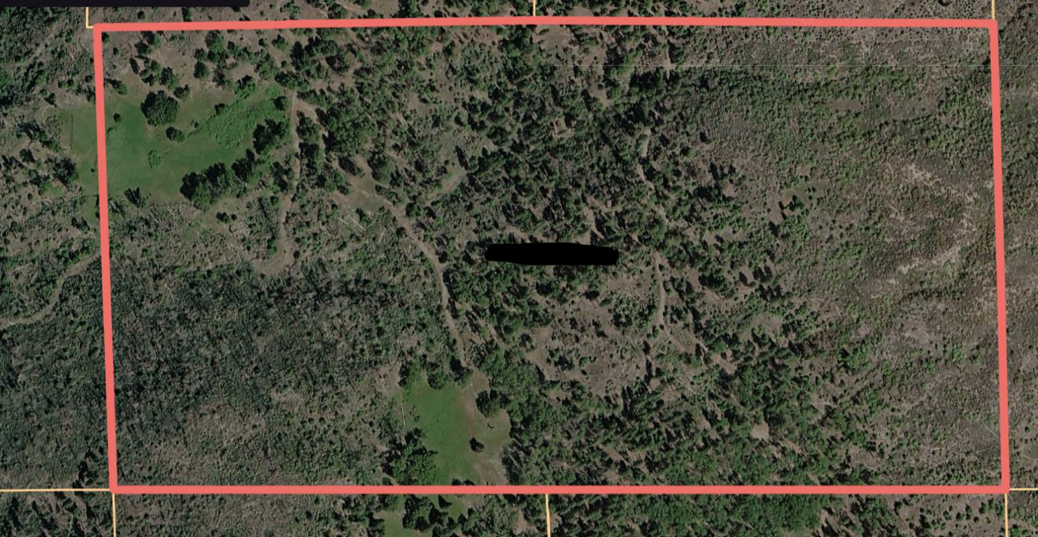 0 Cherry Maple Road Klamath River, CA 96050 - Photo 1 of 3
