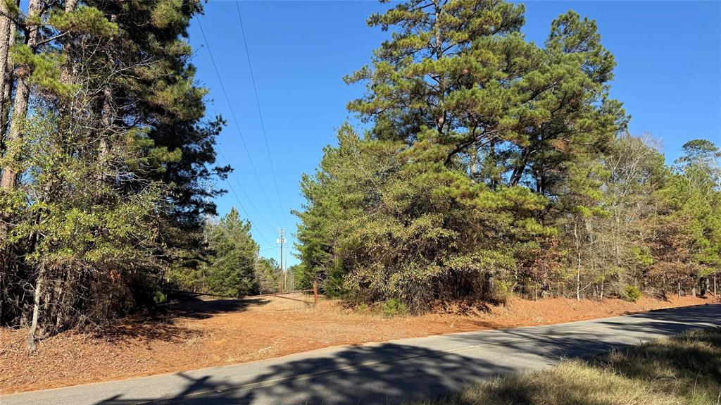 10714 Monterey School Road Vivian, LA 71082 - Photo 1 of 33 a view of a yard with plants and trees