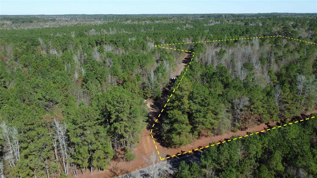 10714 Monterey School Road Vivian, LA 71082 - Photo 12 of 33 a view of a lush green forest with a lake