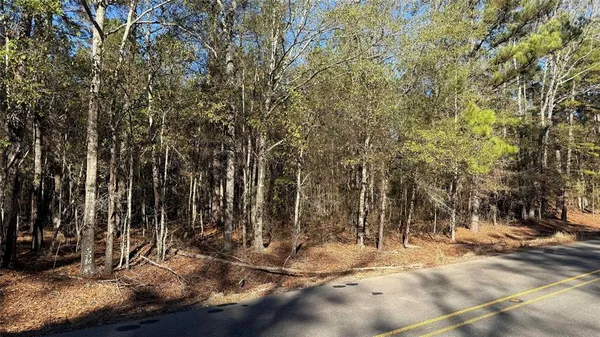 a view of a yard with trees