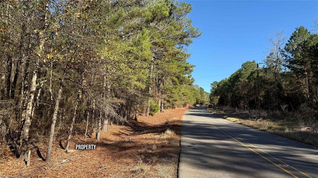 10714 Monterey School Road Vivian, LA 71082 - Photo 14 of 33 a view of street along with trees
