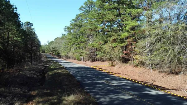 a view of a road with trees