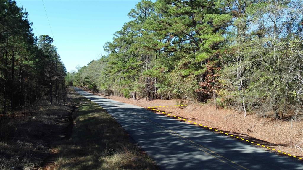 10714 Monterey School Road Vivian, LA 71082 - Photo 16 of 33 a view of a road with trees