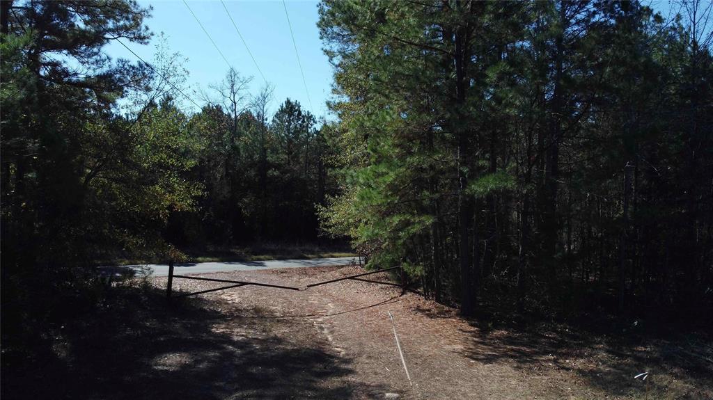 10714 Monterey School Road Vivian, LA 71082 - Photo 17 of 33 a view of yard