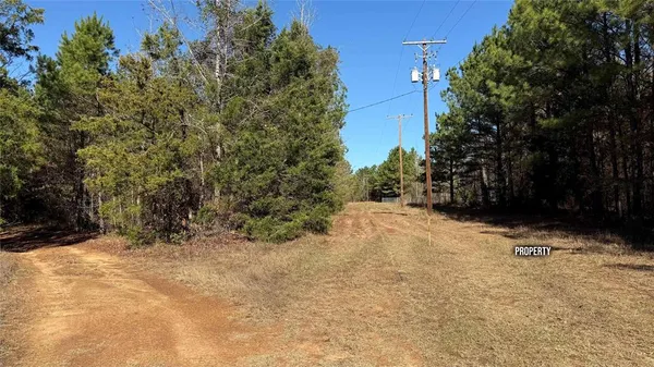 a view of a yard with trees